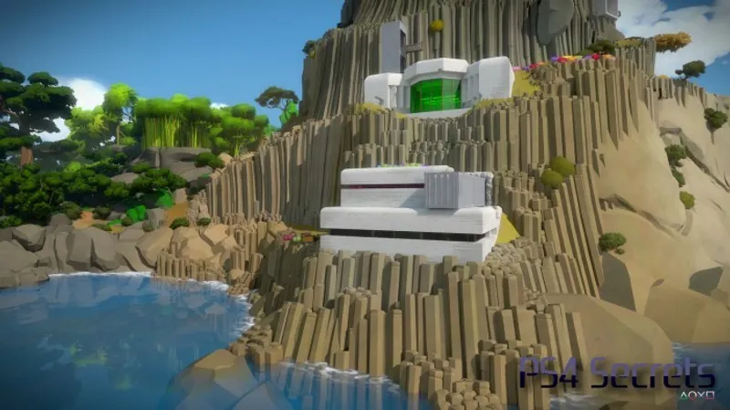 The Witness