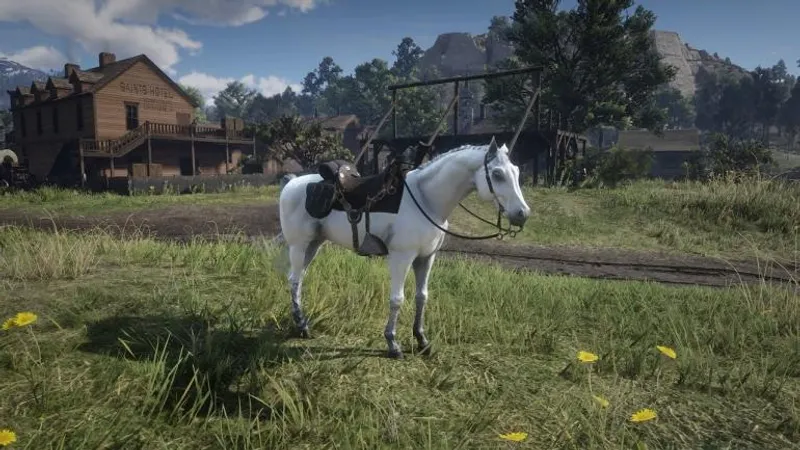 pur-sang arabe blanc