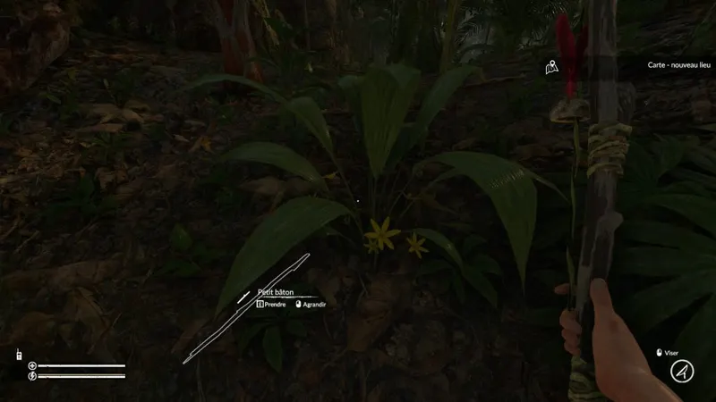 Green Hell - Comment se soigner - Feuille de molineria 