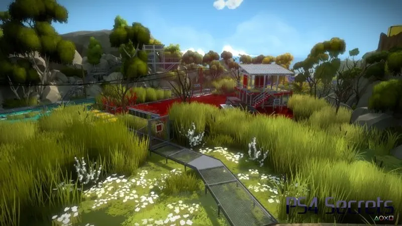 The Witness