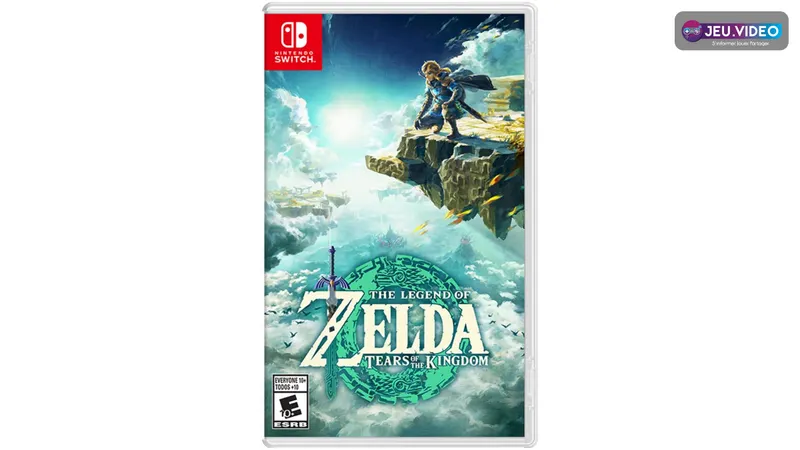 Link observe les dangers d’Hyrule depuis une position élevée dans Tears of the Kingdom