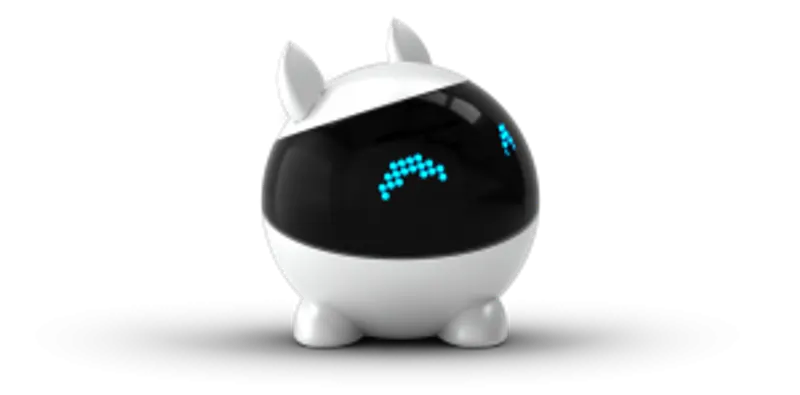 Le robot Winky, bientôt disponible
