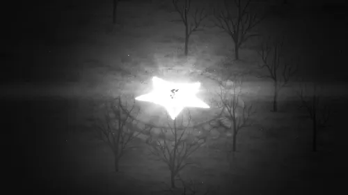 RAZE avis : visuel officiel du roguelike d’action avec le chat guerrier