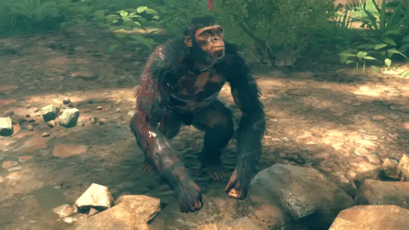 Ancestors soigner saignements