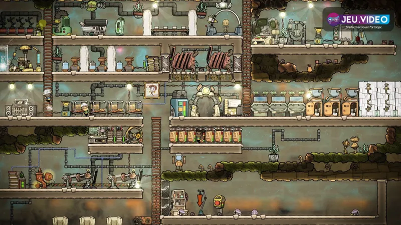 Base complète d’Oxygen Not Included montrant dortoirs, cultures, sanitaires et zones de travail à organiser avant le cycle 50