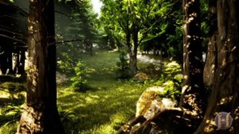 Magnifique biome forêt dans Herezh