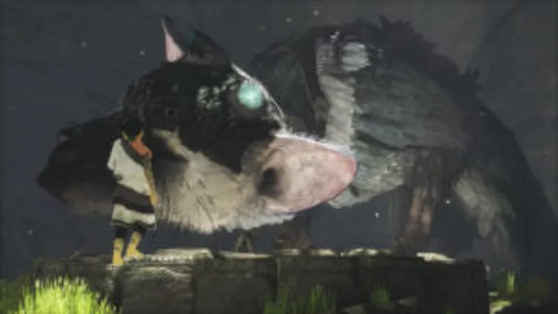the last guardian amitié