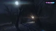 The Night Walk, visuel officiel de la promenade nocturne contemplative
