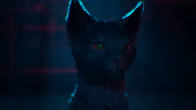 1666 Amsterdam trailer montrant Aaron le chat noir dans une scène bleutée