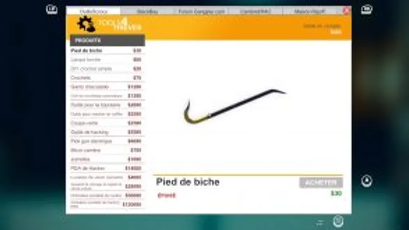 Le guide du parfait cambrioleur