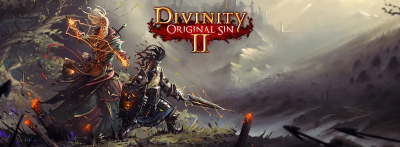 Divinity: Original Sin II Coop