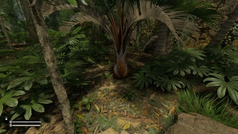 Conseils de survie - L'arbre à noix