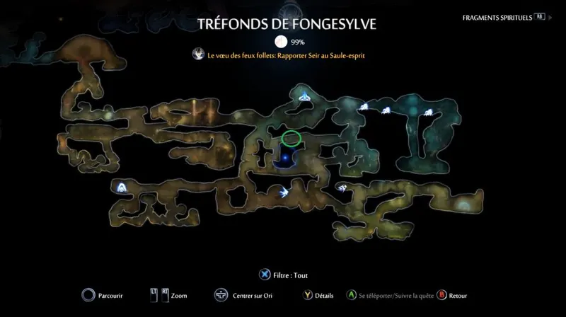 Ori and the Will of the Wisps - quête des graines mystérieuses - cinq