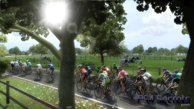 Tour de France 2014