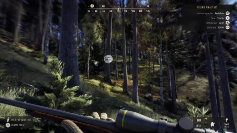 Way of the hunter