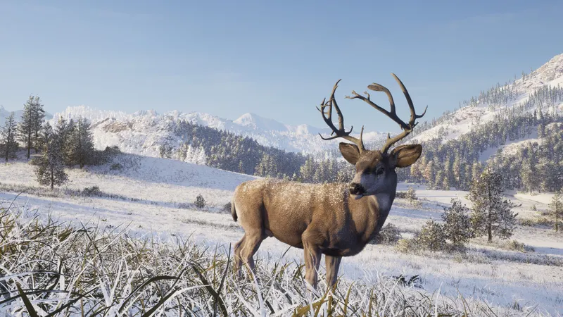 Way of the Hunter: schermata 2 pubblicata nella galleria Steam del gioco